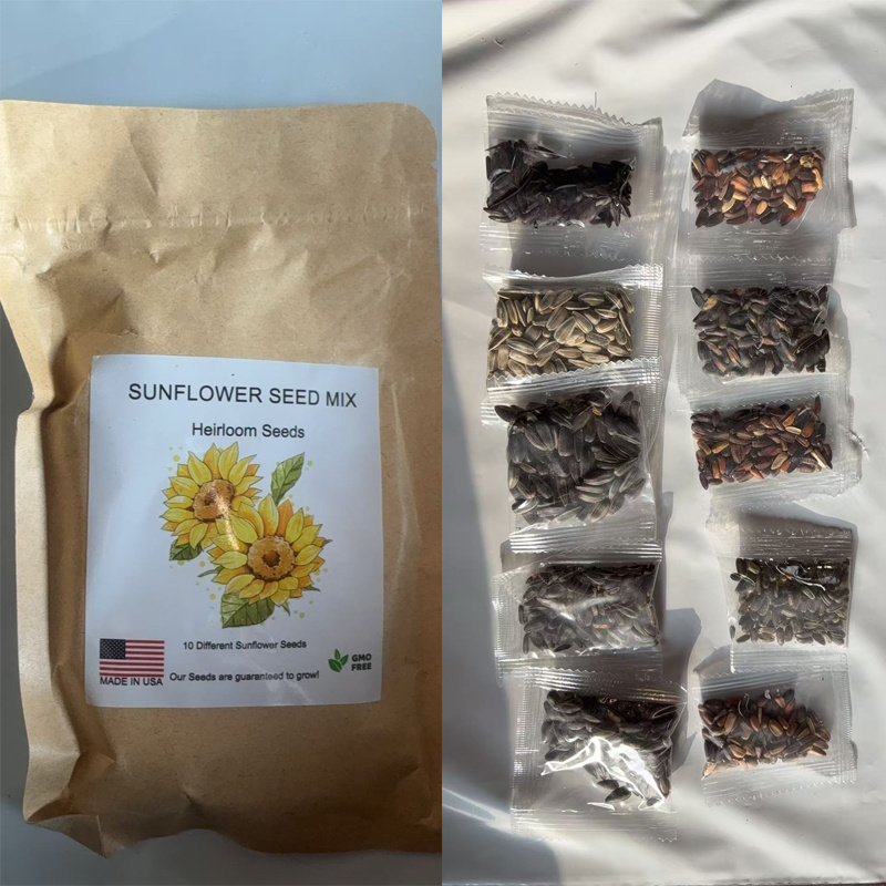 10 Different Sunflower Seeds,SUNFLOW SEED MIX Heirloom Seeds - Image 4